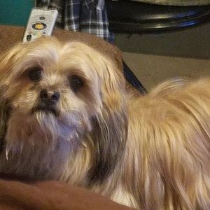 Meet your Posher, Christal